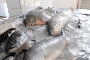 venda de peixes 300x199 - Número de pescados nas baías de Paranaguá e Antonina bate recorde em 2017