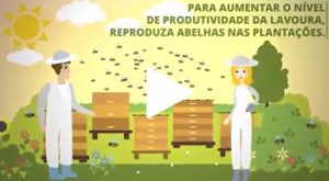Read more about the article Dicas ao Agricultor #5: Produtividade da lavoura