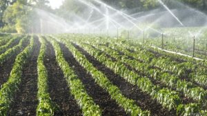 Read more about the article Sérgio Souza: Produção agrícola não é responsável pela crise hídrica no Brasil