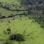 Prazo de adesão ao programa de regularização ambiental é prorrogado por mais um ano Prazo de adesão ao programa de regularização ambiental é prorrogado por mais um ano 150x150 - Prazo de adesão ao programa de regularização ambiental é prorrogado por mais um ano