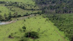 Prazo de adesão ao programa de regularização ambiental é prorrogado por mais um ano 300x169 - Notícias