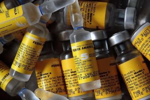 Secretaria de Saúde indica vacinação contra febre amarela no Paraná