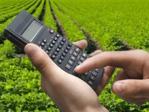 financiamento bndes 300x225 - BNDES retoma análise de pedidos de financiamentos para o Ano Agrícola 2018/19