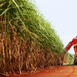 Agência Brasil Agência Brasil
