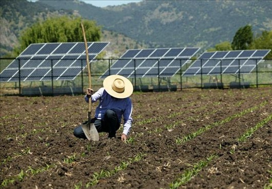 Read more about the article FPA critica proposta da Aneel de taxar a energia solar