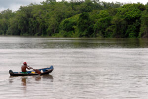 Read more about the article Comissão avalia políticas de preservação para a Amazônia