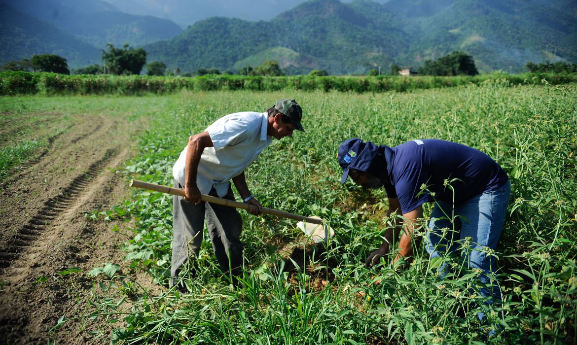 Read more about the article Congresso derruba vetos na Lei do Agro para evitar tributos ao produtor rural