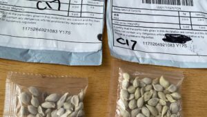 Ministério da Agricultura registra 36 casos de sementes misteriosas recebidas após compras pela internet