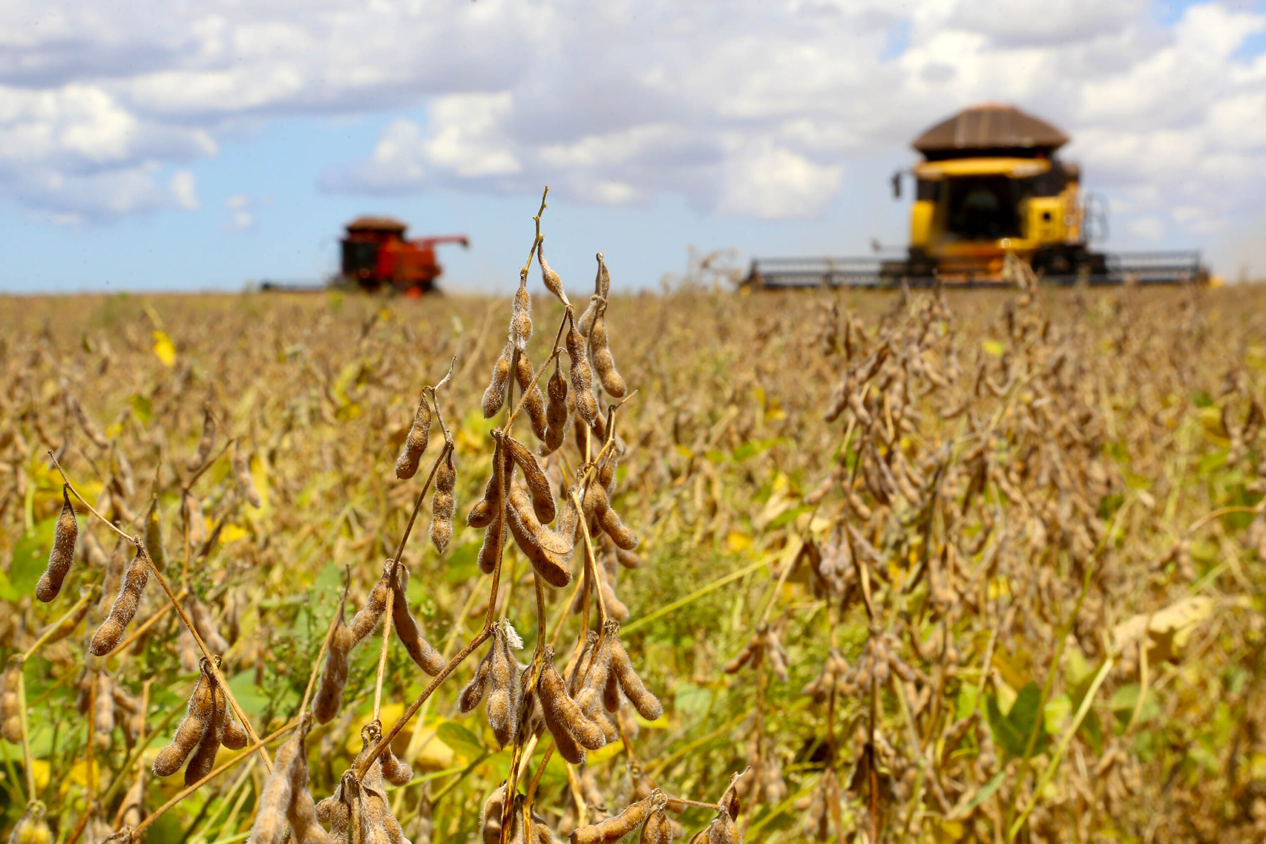 Medalha de prata: Paraná ocupa segunda colocação no ranking dos estados com maior produção de grãos, cereais e leguminosas