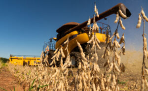Read more about the article Produtores devem colher cerca de 268,2 milhões de toneladas de grãos