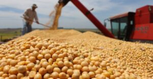Read more about the article Segue para sanção projeto que muda tributação de empresas de sementes