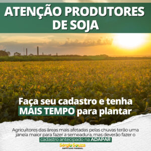 Read more about the article PRODUTORES DE SOJA TERÃO MAIS TEMPO PARA PLANTAR NO PARANÁ
